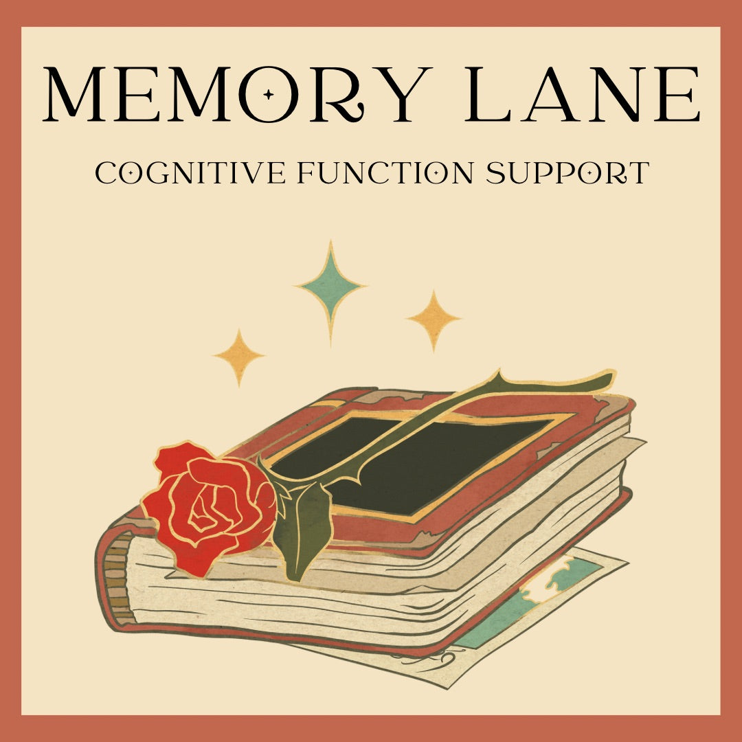 Cognitive Support